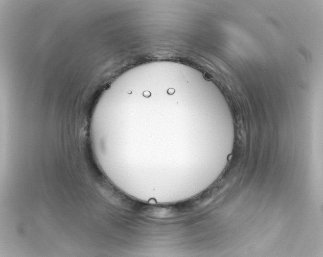 X0000111590507200907161156
