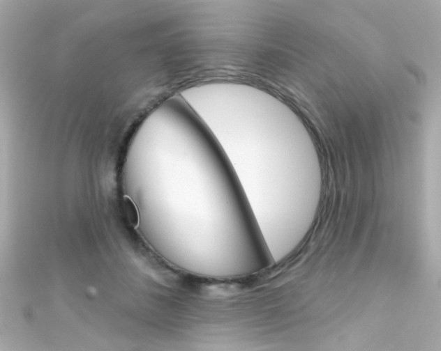 X0000111590508200907161156
