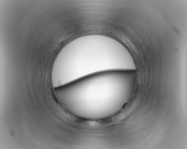 X0000111590509200907161156