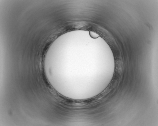 X0000111590510200907161156