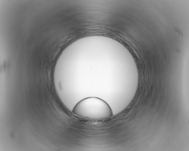 X0000111590512200907161156