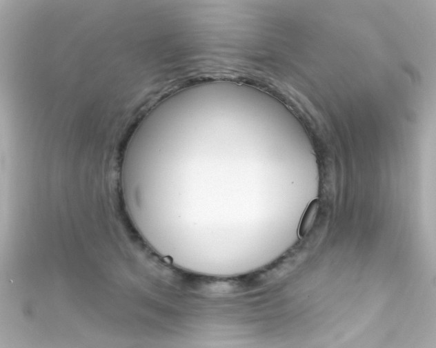 X0000111590513200907161156