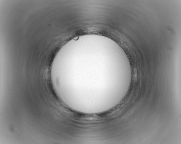 X0000111590514200907161156