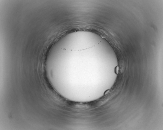 X0000111590515200907161156