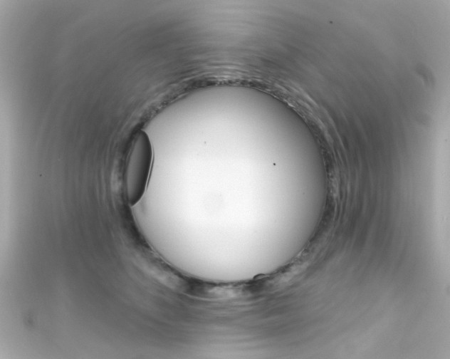 X0000111590516200907161156