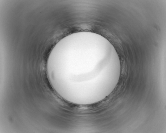 X0000111590518200907161156