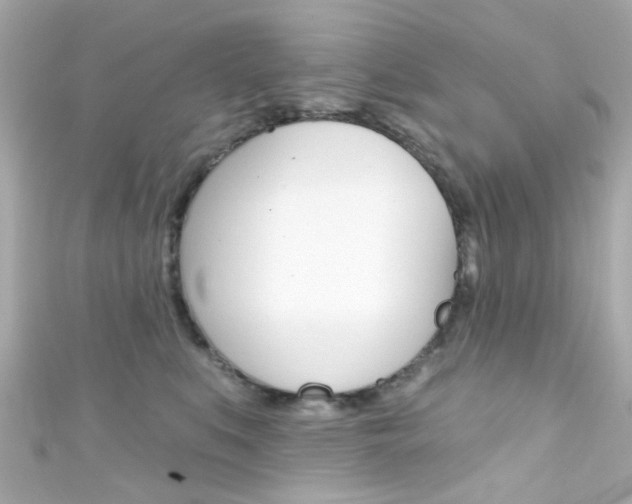 X0000111590519200907161156