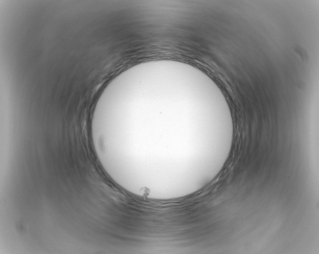 X0000111590520200907161156