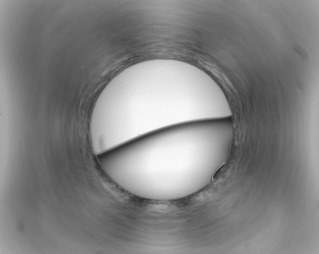 X0000111590521200907161156