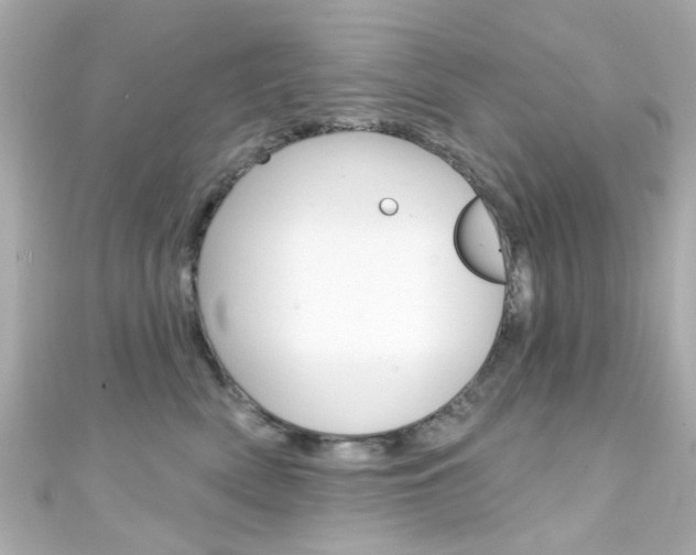 X0000111590522200907161156
