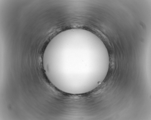 X0000111590523200907161156