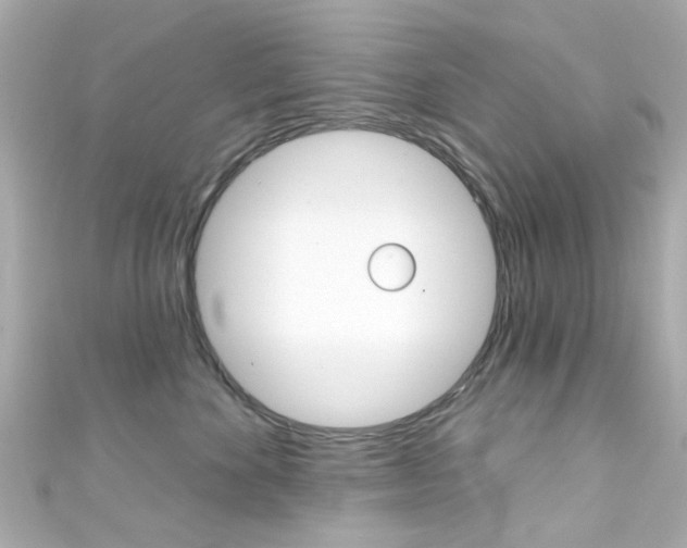 X0000111590524200907161156