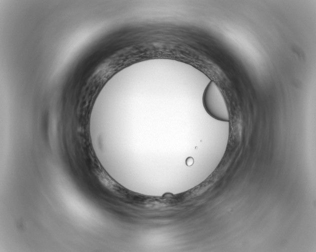 X0000111590526200907161156