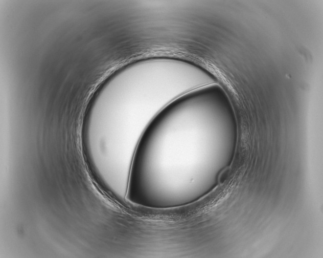 X0000111590530200907161155