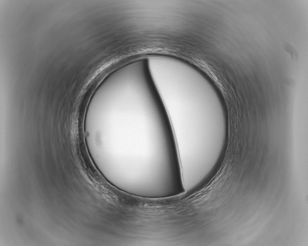 X0000111590531200907161155