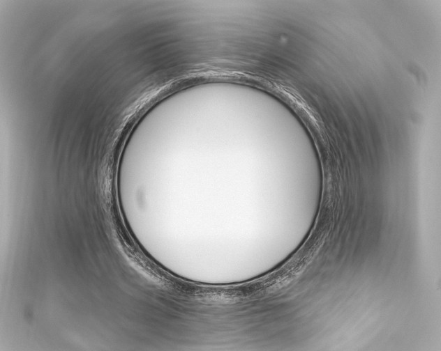 X0000111590533200907161155