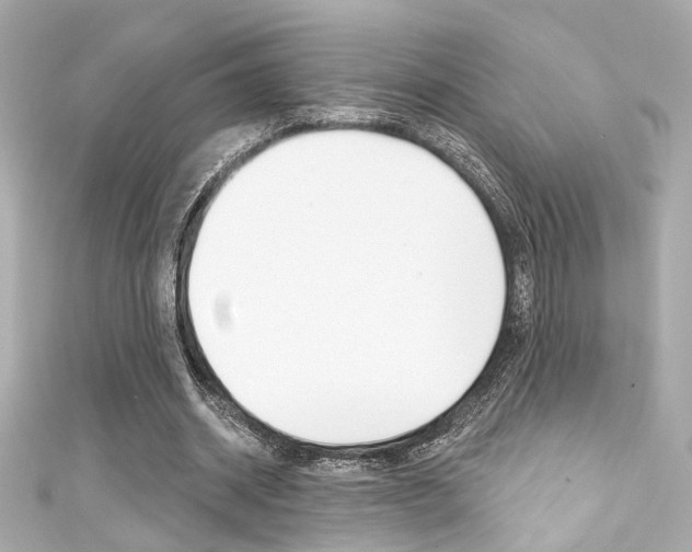 X0000111590534200907161155