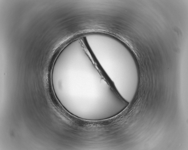 X0000111590535200907161155