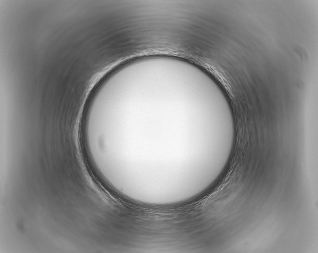 X0000111590536200907161155