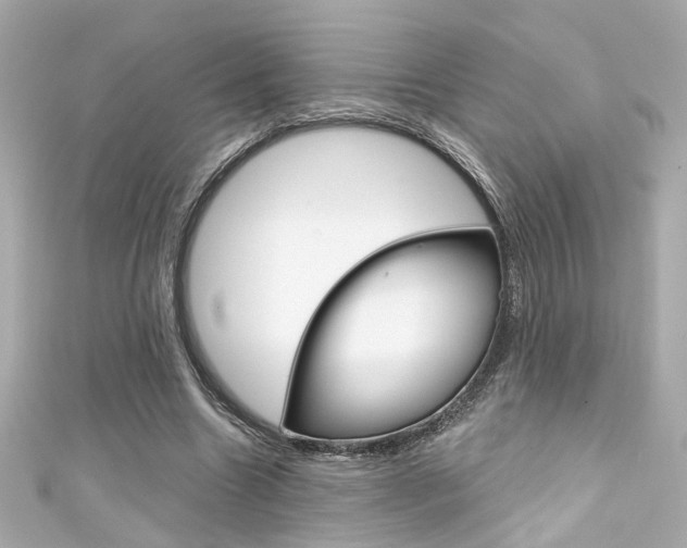 X0000111590538200907161155