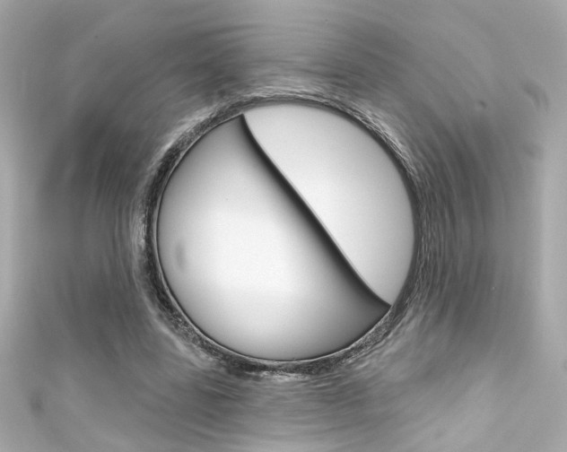 X0000111590539200907161155