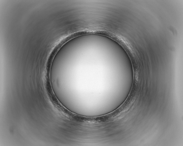 X0000111590540200907161155