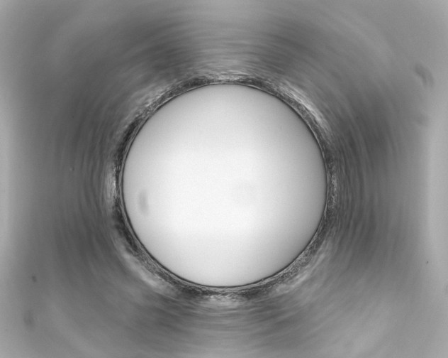 X0000111590541200907161155