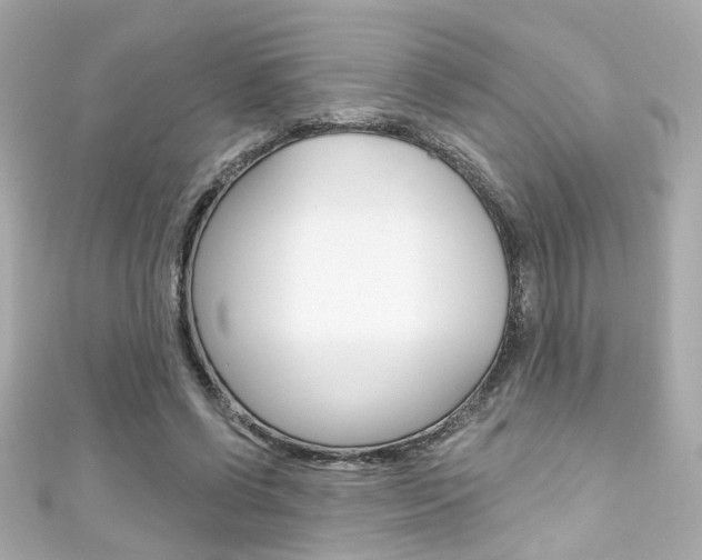 X0000111590542200907161155