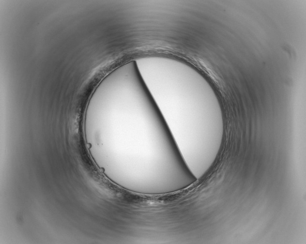 X0000111590543200907161155
