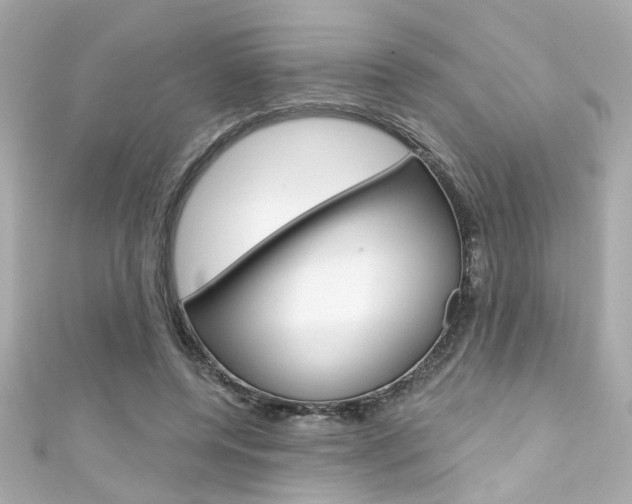 X0000111590544200907161155