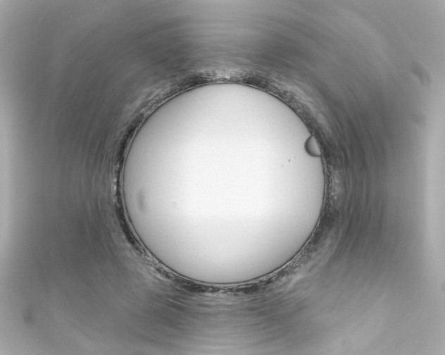 X0000111590545200907161155