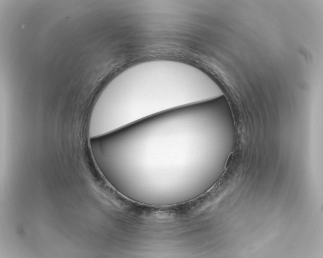 X0000111590546200907161155