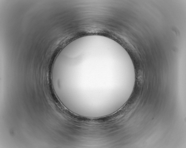 X0000111590547200907161155