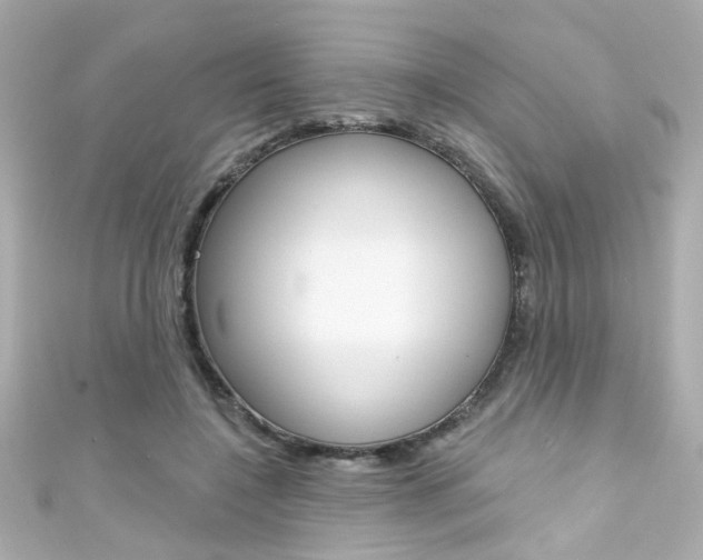 X0000111590548200907161155