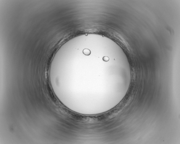 X0000111590549200907161155