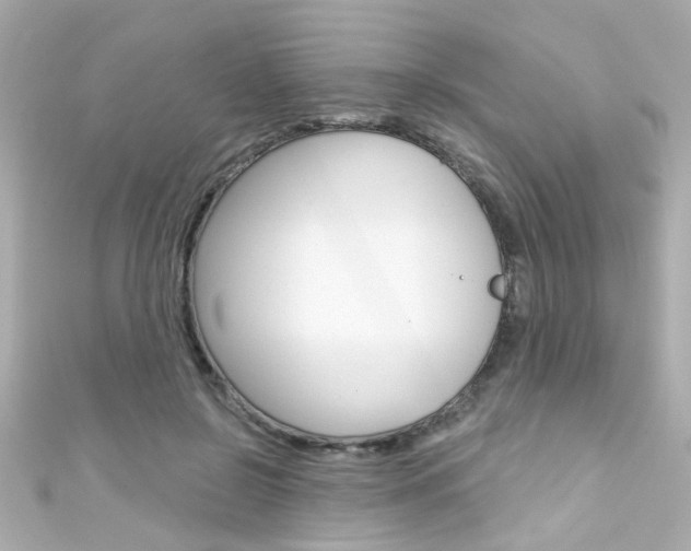 X0000111590550200907161155