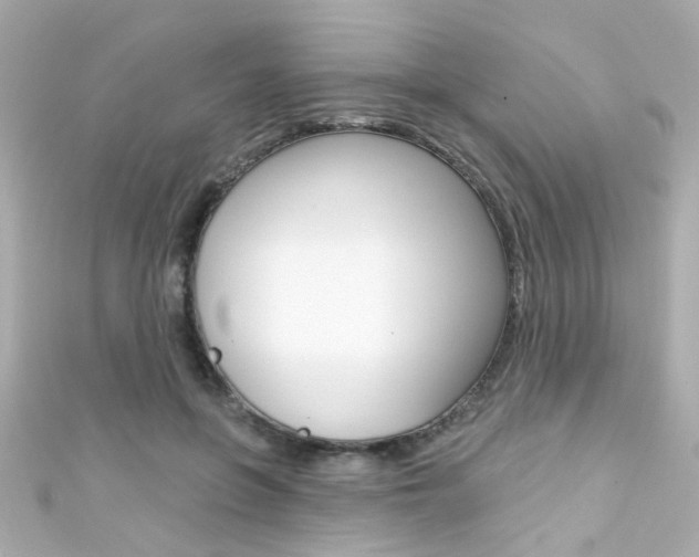 X0000111590551200907161155