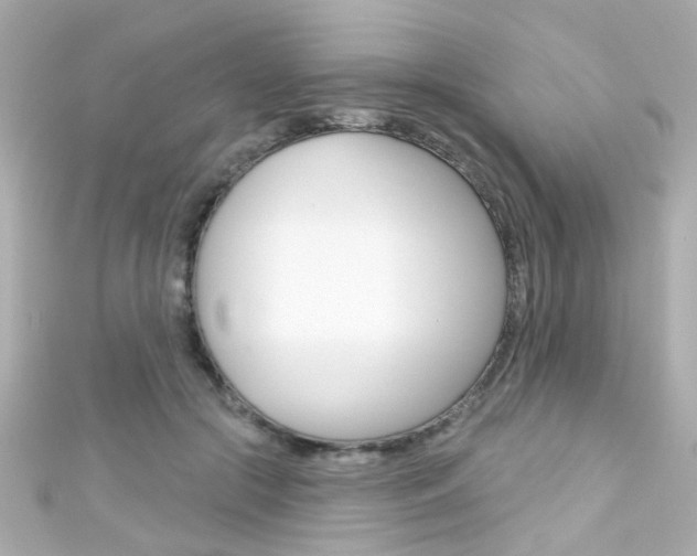 X0000111590553200907161155