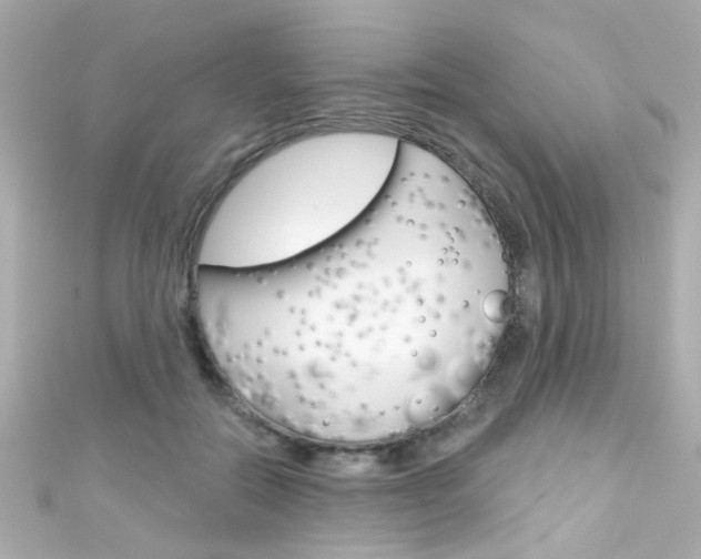 X0000111590554200907161155