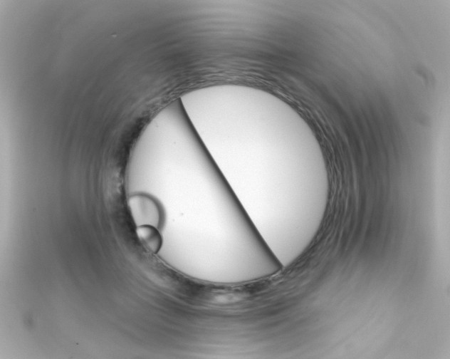 X0000111590555200907161155