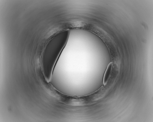 X0000111590556200907161155