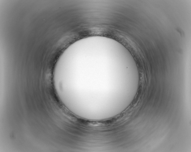 X0000111590557200907161155