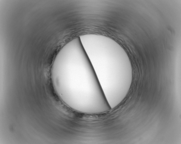 X0000111590559200907161155