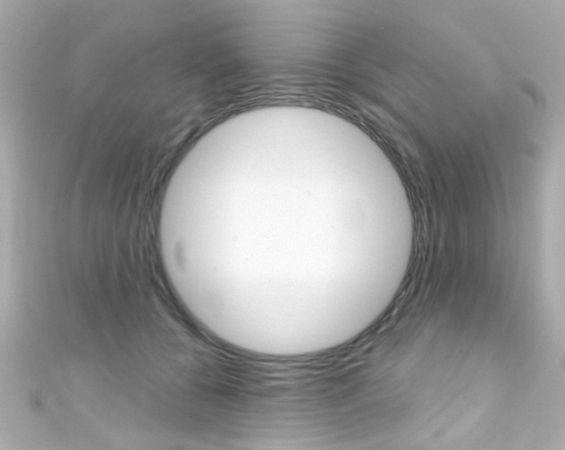 X0000111590560200907161155
