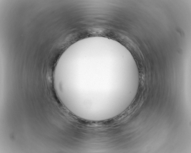 X0000111590561200907161155