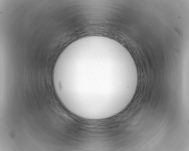 X0000111590562200907161155