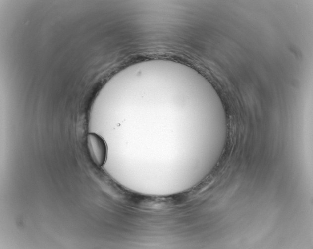 X0000111590563200907161155