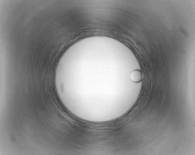 X0000111590564200907161155