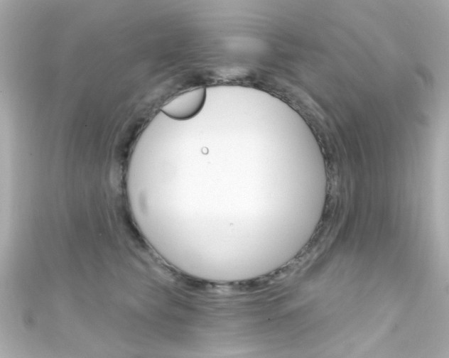 X0000111590565200907161155
