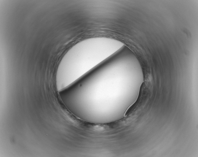 X0000111590566200907161155